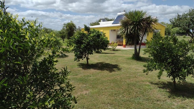 excelente chacra en Venta de 3 hectareas  en Uruguay en el departamento de Soriano, Permuta en Caba