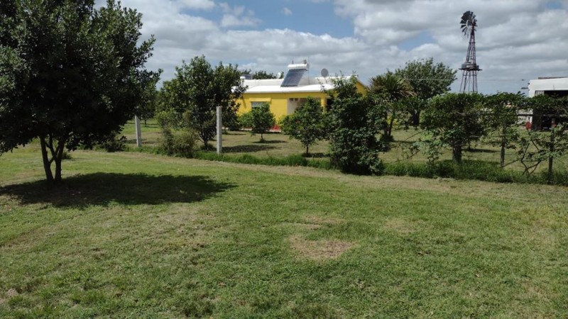 excelente chacra en Venta de 3 hectareas  en Uruguay en el departamento de Soriano, Permuta en Caba