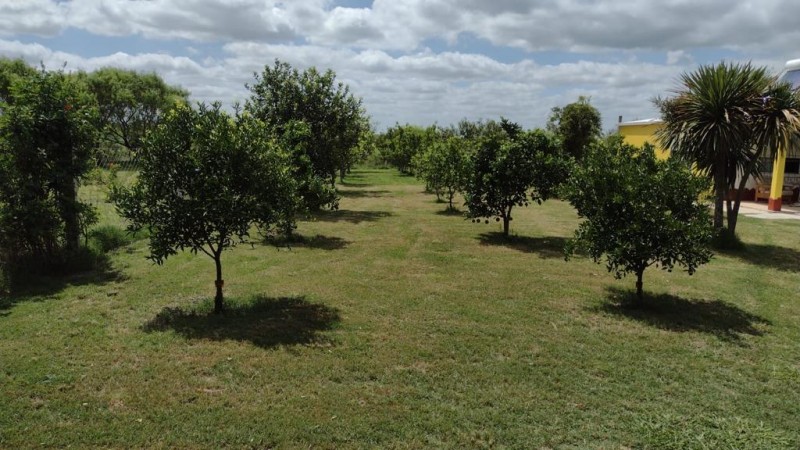 excelente chacra en Venta de 3 hectareas  en Uruguay en el departamento de Soriano, Permuta en Caba