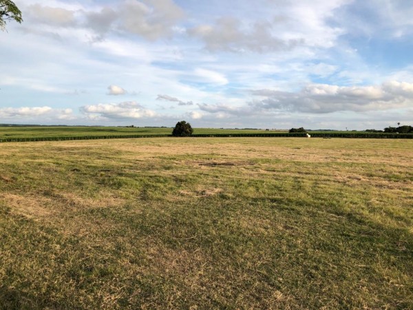 excelente chacra en Venta de 3 hectareas  en Uruguay en el departamento de Soriano, Permuta en Caba