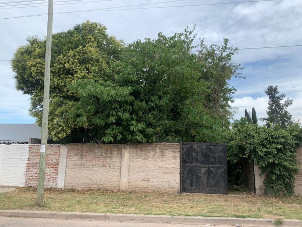 Lote cerrado en el Centro Moreno.