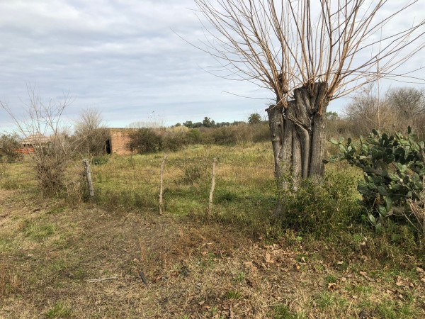 Venta de 2 lotes en Lezica y Torrezuri 