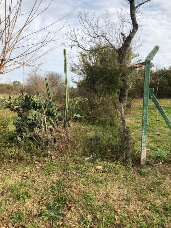 Venta de 2 lotes en Lezica y Torrezuri 