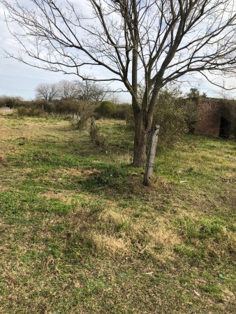 Lote en Venta en Lezica y Torrezuri.