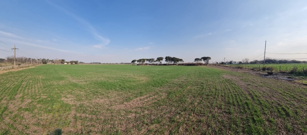 VENDE CAMPO DE APTO LOTEO  EN MARCOS PAZ