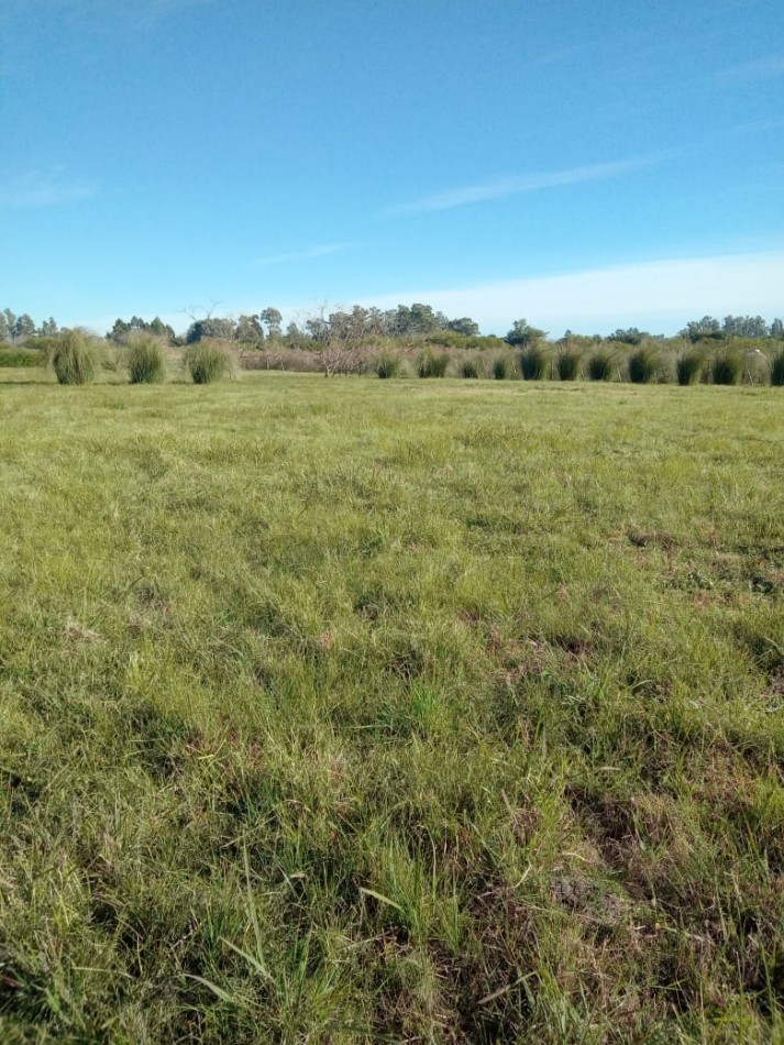 Terreno en Hughes, Entre Rios.