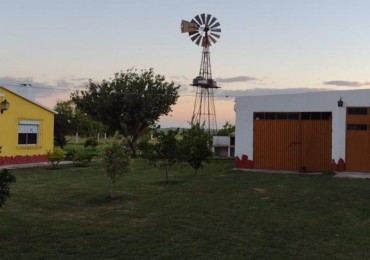 excelente chacra en Venta de 3 hectareas  en Uruguay en el departamento de Soriano, Permuta en Caba