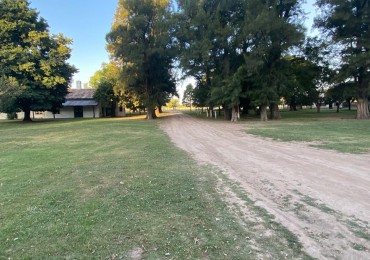 Lote en Villa de Campo Tres Pinos - 1050 m2