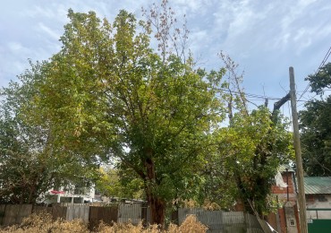 Venta de Terreno en Paso del Rey