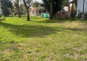 Lote Central Francisco Alvarez